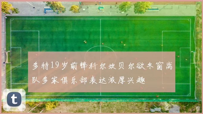 多特19岁前锋科尔坎贝尔欲冬窗离队多家俱乐部表达浓厚兴趣